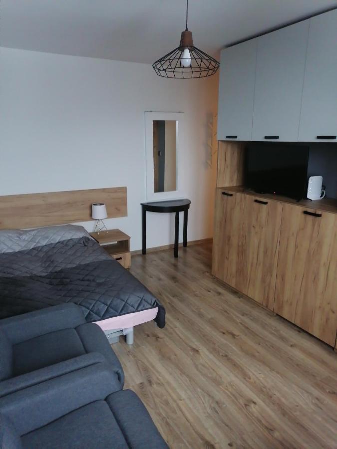 Studio Park Saski 1 & 2 Sandomierz Luaran gambar