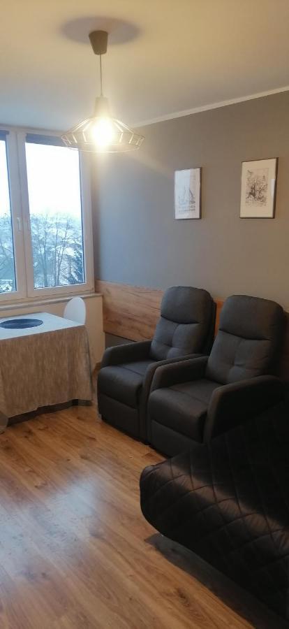 Studio Park Saski 1 & 2 Sandomierz Luaran gambar