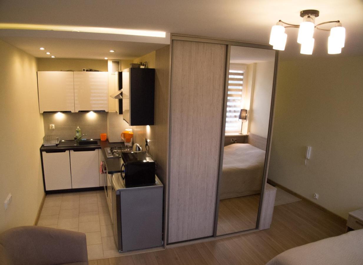 Studio Park Saski 1 & 2 Sandomierz Luaran gambar